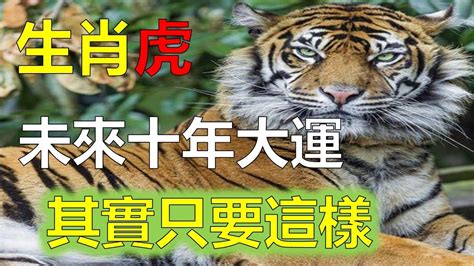 虎五行屬什麼|生肖屬虎人的五行與財運